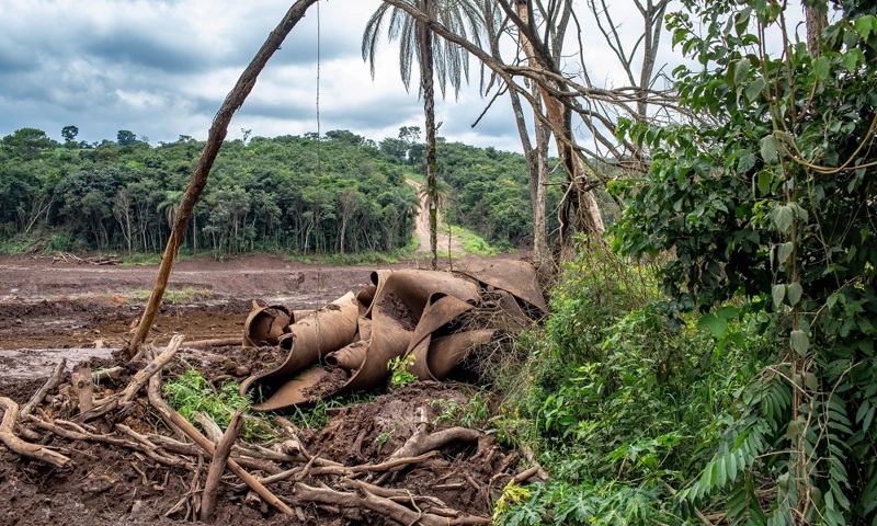 Coercion of TÜV SÜD Auditors to Fabricate Stability Declarations